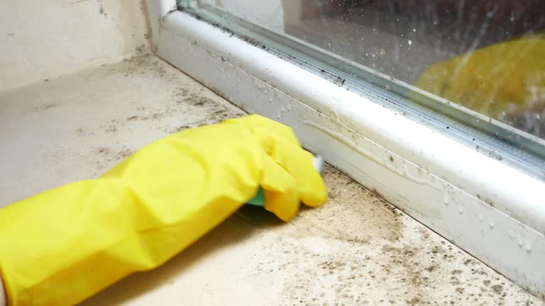 Why You Should Choose Our Mold Remediation Services in Ara, AL